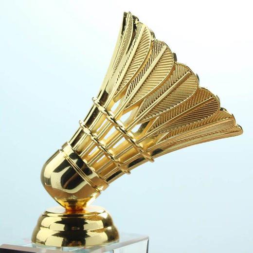 世界羽毛球锦标赛奖杯图片