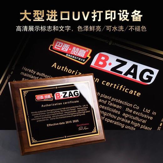 实木奖牌定制木质经销商加盟授权牌证书定做木托聘书荣誉牌匾刻字 商品图2