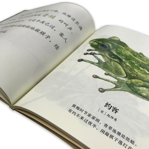 我们的诗词 商品图2