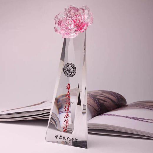 奖杯水晶定制琉璃奖杯纪念品公司年终表彰用品颁奖奖牌 商品图1