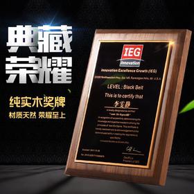 实木奖牌定制木质经销商加盟授权牌证书定做木托聘书荣誉牌匾刻字