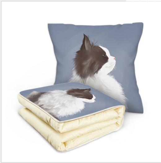 【床上用品】简约多功能抱枕被子办公室两用午休靠垫被汽车空调被 商品图2