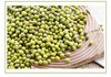【内蒙小绿豆】【五星推荐】老品种， 发芽率高， 自然食材，2瓶起发 商品缩略图3