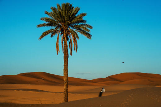 【摩洛哥＋突尼斯】绚丽多彩北非风情、舍夫沙万蓝城、菲斯古城、马拉喀什、撒哈拉沙漠星空16天摄影团 商品图13