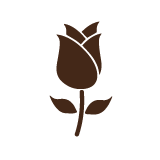 当日空运云南玫瑰