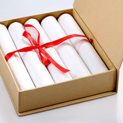 乳腺灸 商品图0