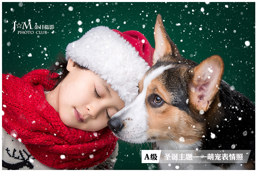 【圣诞主题—萌宠】