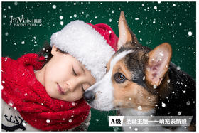 【圣诞主题—萌宠】