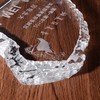 水晶冰山奖牌年会纪念品加盟牌水晶奖牌定做水晶礼品 商品缩略图4