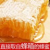 『嚼着吃蜂巢蜜』百花蜂巢蜜无添加 商品缩略图3