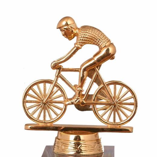 自行车比赛奖杯 环湖直行车比赛纪念品 体育比赛奖品金属奖杯定制 商品图2