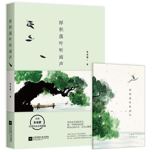 厚积落叶听雨声 商品图0