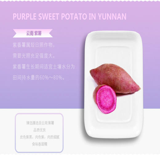 紫薯鲜花饼10枚装 商品图2