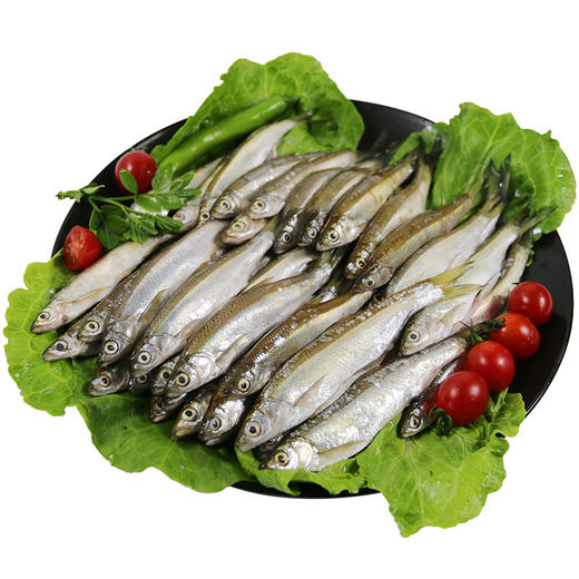 【新鲜打捞  非密云水库】新鲜打捞小白条鱼  煎炸美味 1kg 净膛发货 商品图5