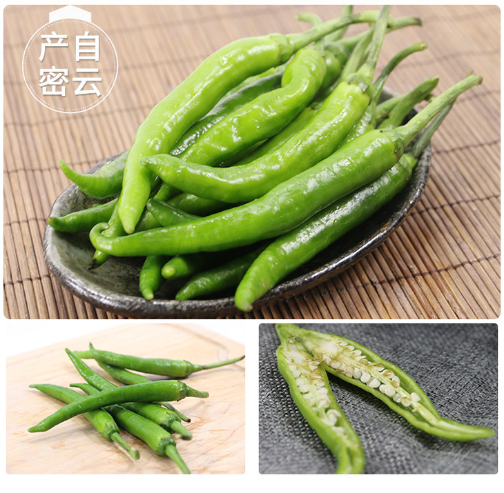 每日现摘农家自种杭椒辣度适中口感脆嫩菜肴提味佳品300g