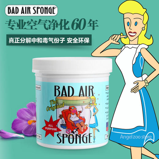 【一般贸易】美国百思帮Bad Air Sponge 空气净化剂 400g 去异味 除甲醛 新家新车办公室必备 商品图1