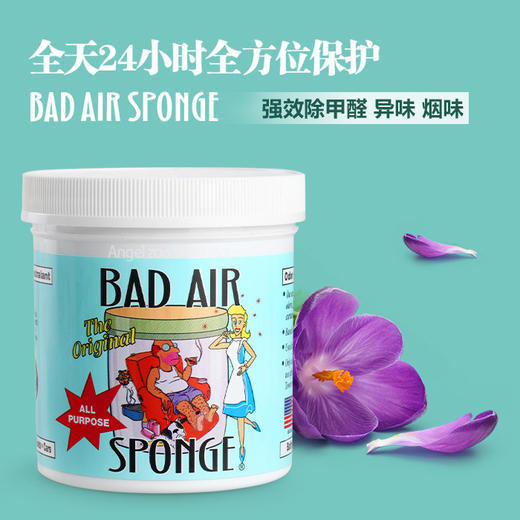 【一般贸易】美国百思帮Bad Air Sponge 空气净化剂 400g 去异味 除甲醛 新家新车办公室必备 商品图2