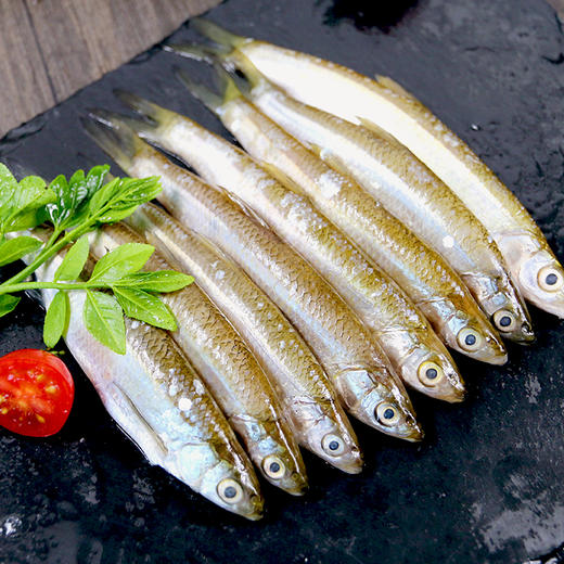 新鲜打捞新鲜打捞小白条鱼煎炸美味1kg净膛发货