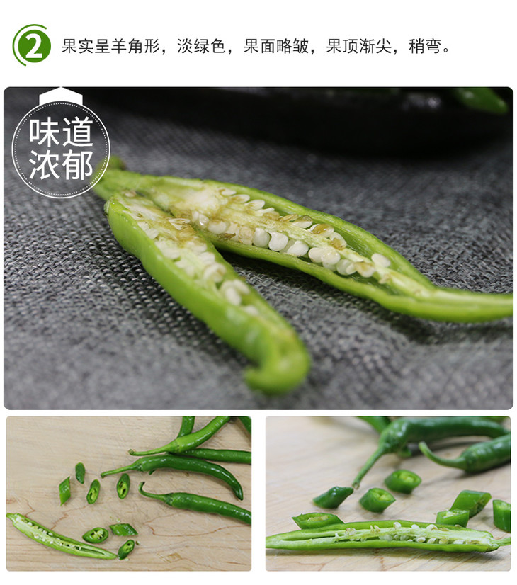 每日现摘农家自种杭椒辣度适中口感脆嫩菜肴提味佳品300g