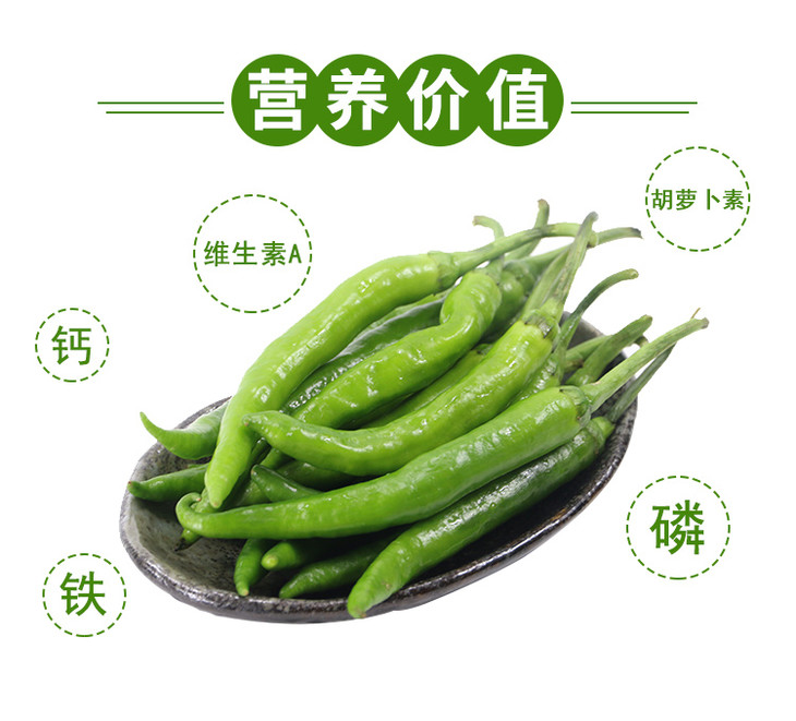 每日现摘农家自种杭椒辣度适中口感脆嫩菜肴提味佳品300g