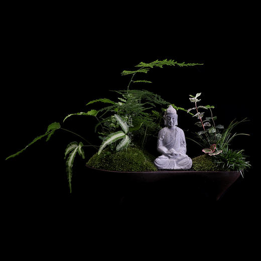 植觉 绿植盆栽室内家居摆件中式禅意盆景苔藓精品植物【悟佛】