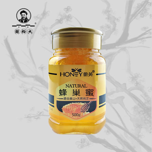 【健康饮品】蜂巢蜜 500g 商品图0