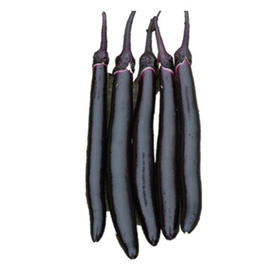 【新鲜】蔬菜 紫把长茄子约500g/份