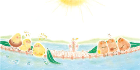 蒲蒲兰 小粽子，小粽子 卷儿 0-1-2岁绘本 连环画出版社 正版 商品图3