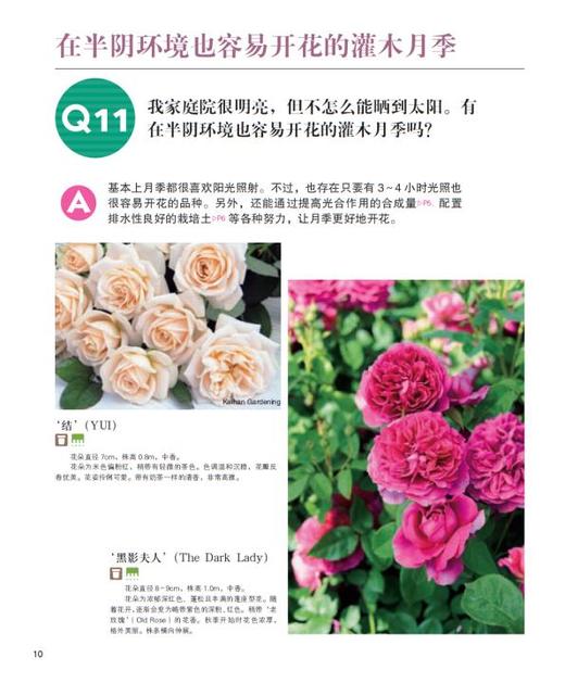 月季四季栽培Q&amp;A 商品图3