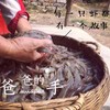 儒林虾说 鲜活海虾秘制精品 商品缩略图3