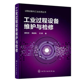 工业过程设备维护与检修——过程设备与工业应用丛书