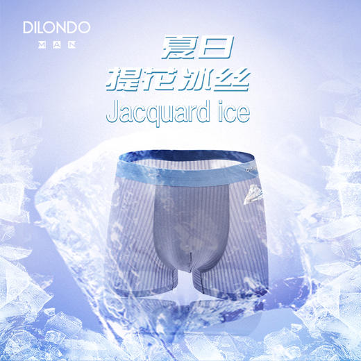 迪兰多 【上新】超级透气冰丝提花冰感体验内裤 22908746 商品图0