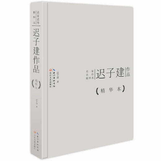 迟子建作品精华本 商品图0