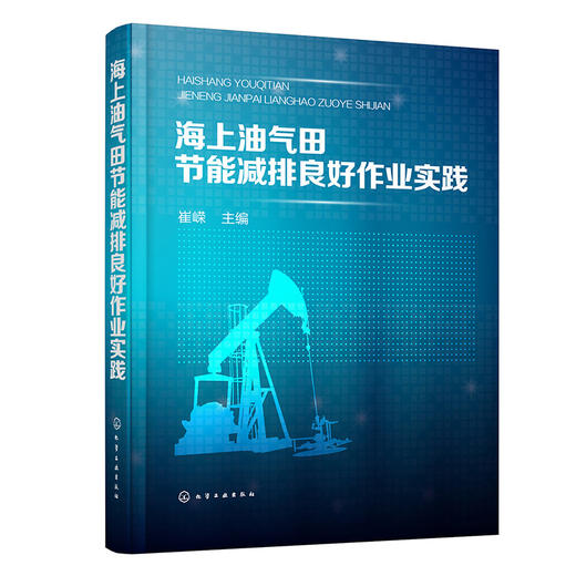 海上油气田节能减排良好作业实践 商品图0