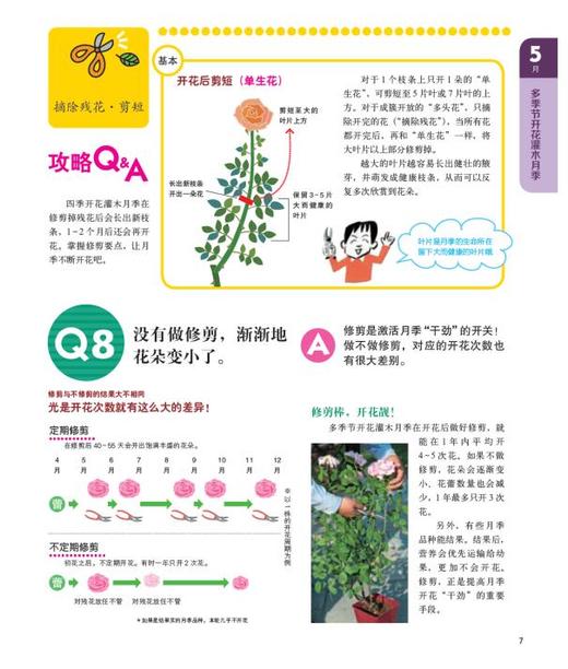月季四季栽培Q&amp;A 商品图2