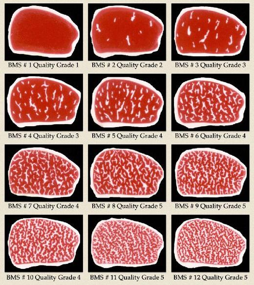 澳洲红凤凰和牛礼盒套餐 商品图6