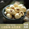 【莲子】250g 建宁农家去芯白莲子干货 商品缩略图4