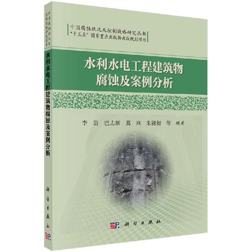 水利水电工程建筑物腐蚀及案例分析 商品图0