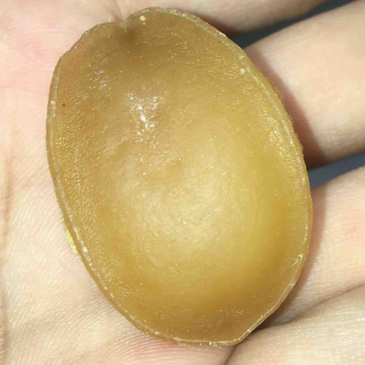 南港渔铺鲍鱼50-60头 （好）500g 商品图1