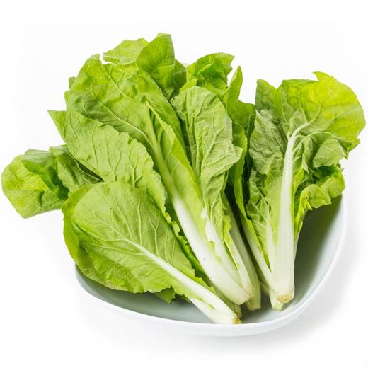 有机杭白菜500g 商品图1