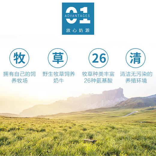 宝莱美露 狗用羊奶粉 400g 不好买包退！ 商品图3