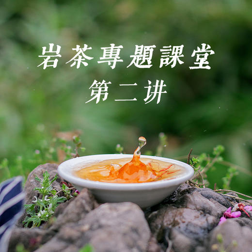 《武夷岩茶品种香》——武夷岩茶专题课堂第二讲 商品图0