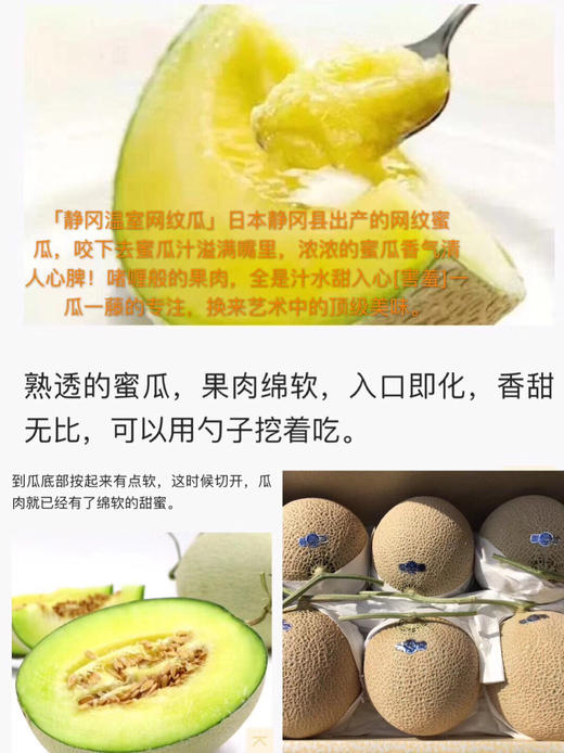 静冈温室网纹蜜瓜🍈 ——完全熟软后，一口蜜瓜汁溢满口腔，浓浓的蜜瓜香气沁人心脾！，全是汁水甜入心[害羞]一瓜一藤的专注 商品图6