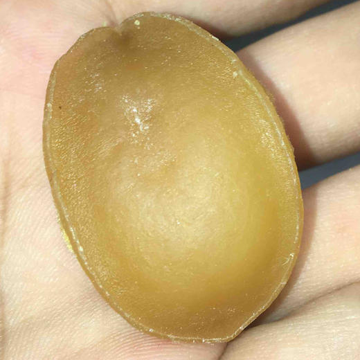 南港渔铺 散装鲍鱼（好）500g 商品图1