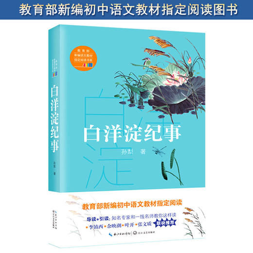 白洋淀纪事 商品图0