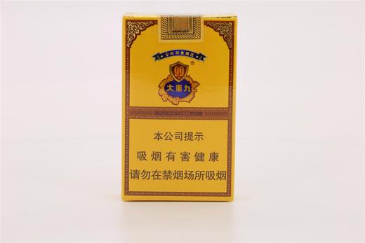 大重九 商品图0