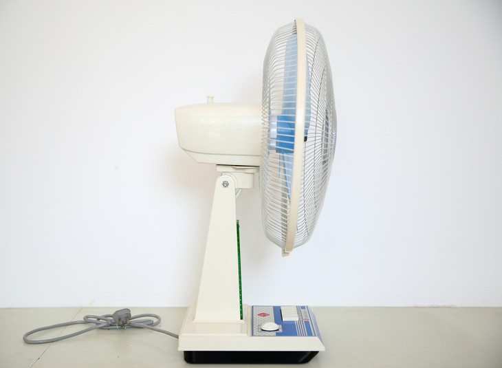 李师傅给小抱抱推荐了6款电扇,3款乘风牌,3款西湖牌.