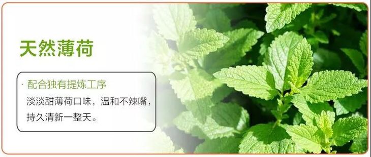 【积分换购】韩国o-zone珍珠瓷白牙膏 70年老牌品质 千万人的选择