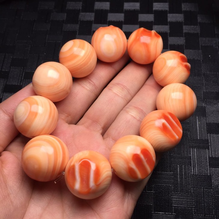 【d47626】万宝螺手串