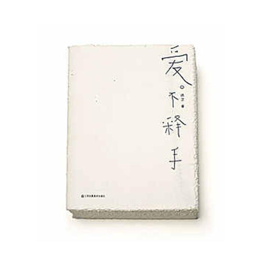 爱不释手（中国最美的书）| 洪卫 商品图0